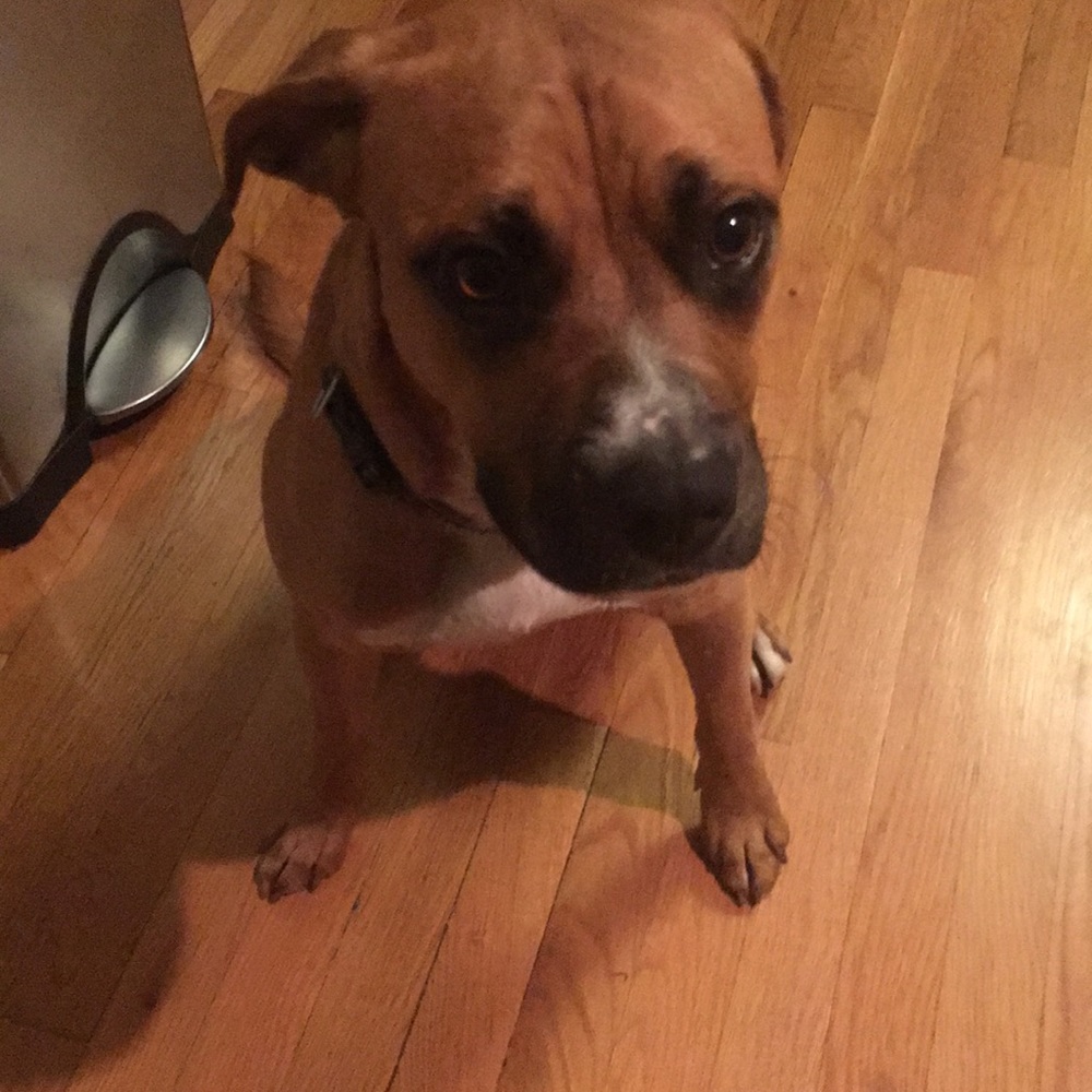 Meet your Posher, Ajj